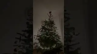 🎄1 ADVENT🎄 