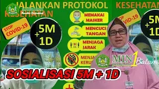 5M+1D 