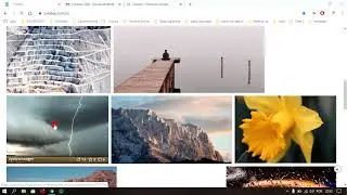 pixabay o site que oferece imagens e vídeos gratis para uso comercial