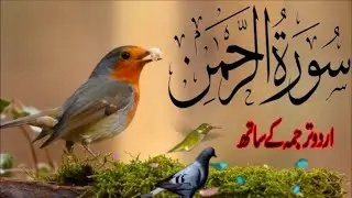 SURAH RAHMAN TARJUMA K SATH | BY QARI Al SHAIKH MUHAMMAD | EP 00824 | QURAN TILAWAT BEAUTIFUL VOICE