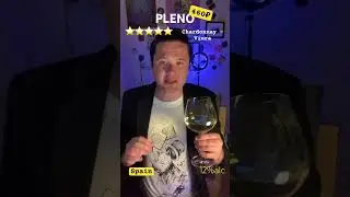 Вино Белое PLENO Navarra Spain Bodegas Ароматный Мир