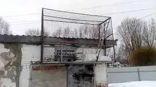 Пермские голуби Сергея Ивановича. 19.02.19г.