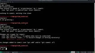 050 git: single user scenario terminal demo
