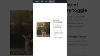 CSS Content story