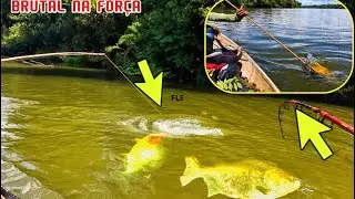 TAMBAQUI de CANIÇO, QUASE QUEBRA A VARA ESSE BRUTO, E MUITA FORÇA, PESCANDO OS MONSTROS DA AMAZÔNIA