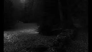 Dark Throne of the Black Lodge in the Deep Darkness of the Forest