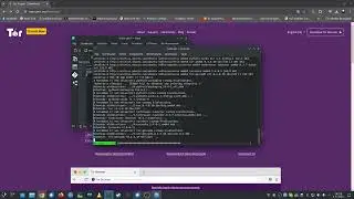 Tor webbrowser Ubuntu 24.04