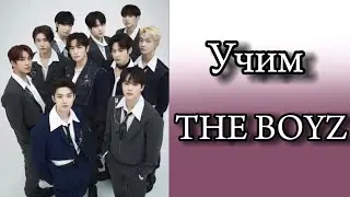 Учим The boyz / как различать the boyz / учимся различать the boyz / the boyz участки.