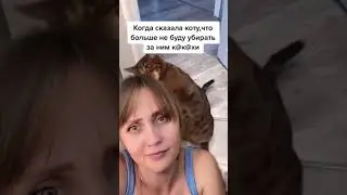 Когда сказал что не буду убирать за котом #хочувтоп #рекомендации❤️❤️ #хочуврекомендации