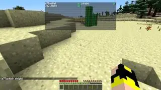 Minecraft Diamonds in the Rough Server, ep 1 - A New Beginning