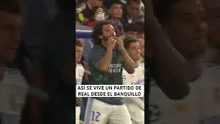 Así se vive un partido de Real Madrid desde el banquillo!! 🤍 realmente es emocionante 🔥