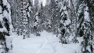 Поход на избу Гибшмана