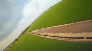 Ruộng lúa Đồng Nai (Rice field in Dong Nai province, Việt Nam)