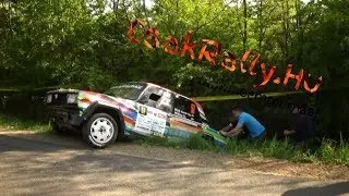 Miskolc Rally 2018 (Crashes&Actions)