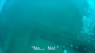 Spearfishing with Sunil