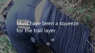 Sabs defend an earth after a fox goes to ground // Waveney Harriers, 24 November 2018