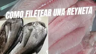 Fileteando una REYNETA #fish #fishing #pez