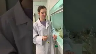 Как наказывают студента химфарма?🤪 #питер #блог #студент #россия #жизнь #учеба #город #химия #опыты