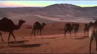 Между нами пустыня