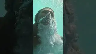 The Underwater Selfie Attempt 🤣