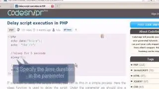 PHP Tutorial : Delay script execution in PHP