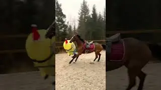 OH NO 😂 FAILS ‼️ 