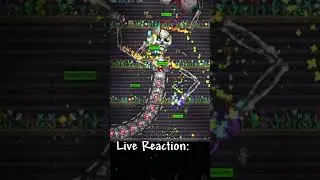 My FIRST TIME Seeing MECHDUSA was...Interesting.  