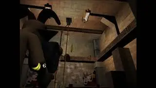 Temple Trap Door Clip