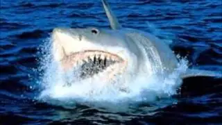 Jaws / Tiburón