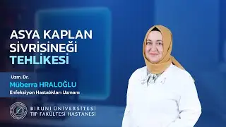 Asya Kaplan Sivri Sineği Tehlikesi