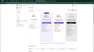 How do you purchase a team plan and add new members to your Webflow account?
