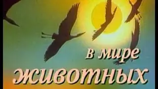 В мире животных с Николаем Дроздовым. Выпуск №36
