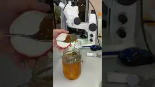 Плесень! Весь эксперимент в профиле 