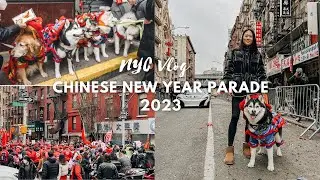 NYC Vlog | Chinatown Lunar New Year Parade 2023 | Year of the Rabbit