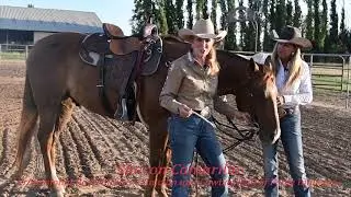 7050 Sharon Camarillo Sweet Six Training Package