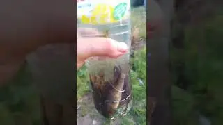 Выходной эвакуаторщика: на рыбалку день2 старый карьер Щеглово