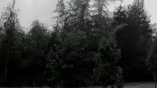 MORDMASCHINE - RottKäbchen