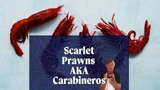 Scarlet Prawns AKA Carabineros