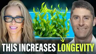 How to Use Chlorella and Spirulina for Detox, Energy and Longevity (Amazing Results!)