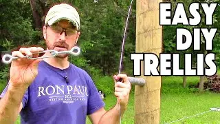 How To Build A Grape Vine Support Trellis. The MOST Popular Type.