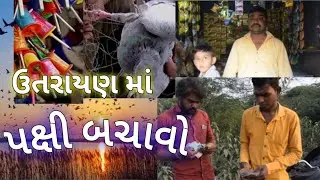 ।। ઉતરાયણ માં પક્ષીઓ ની સેવા ।।  save the Bird
