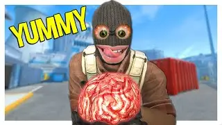THESE MEMES WILL MELT YOUR BRAIN... Counter Strike 2