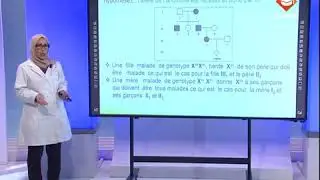 حصة مراجعة في مادة علوم الحياة و الأرض لتلاميذ البكالوريا شعبة الرياضيات الحصة الثالثة
