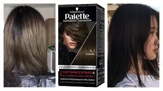 Japon Arkadaşımın Saçlarını Boyuyorum | Palette 4.1 | Evde Saç Boyama