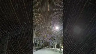 Парк Гагарина.  Южно-Сахалинск.