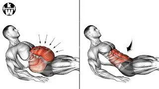 To Return to a Flat Stomach, Shake Your Belly Fat.