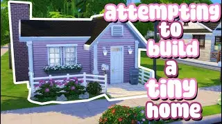 attempting to build a tiny home for the first time...