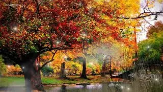 Sad Instrumental Piano Music Zone   Симфония этой осени