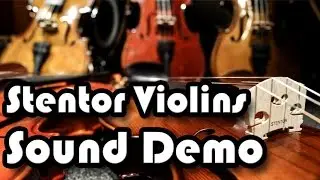 Stentor Violins
