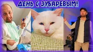 ДЕНЬ С ЗУБАРЕВЫМ(#51,52,53) ГАРАЖИК В ШОКЕ!